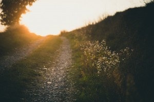 path-691233_1280